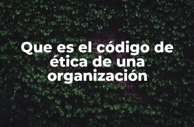 Que es el Código de Ética de una Organización