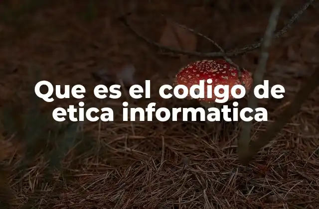 Que es el Codigo de Etica Informatica