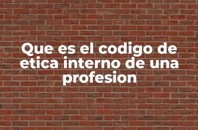 Que es el Codigo de Etica Interno de una Profesion