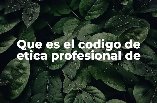 Que es el Codigo de Etica Profesional de