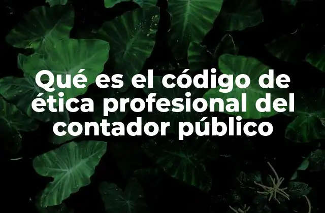 Qué es el Código de Ética Profesional Del Contador Público