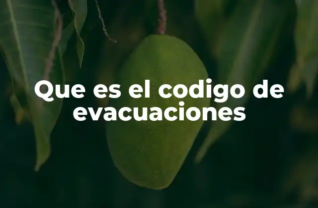 Cómo se implementa un plan de evacuación efectivo