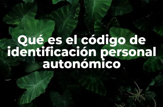 Qué es el Código de Identificación Personal Autonómico