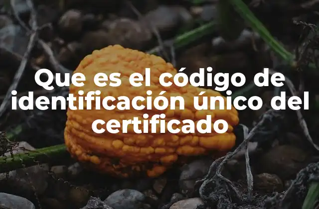 Que es el Código de Identificación Único Del Certificado