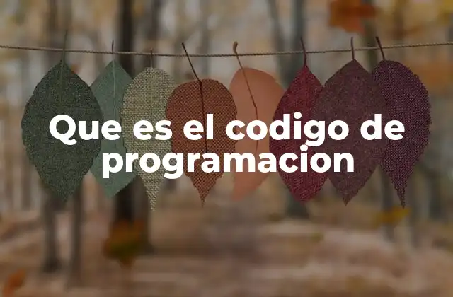 Cómo la programación transforma el mundo moderno