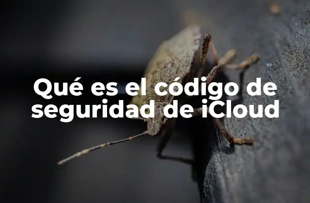 Qué es el Código de Seguridad de Icloud