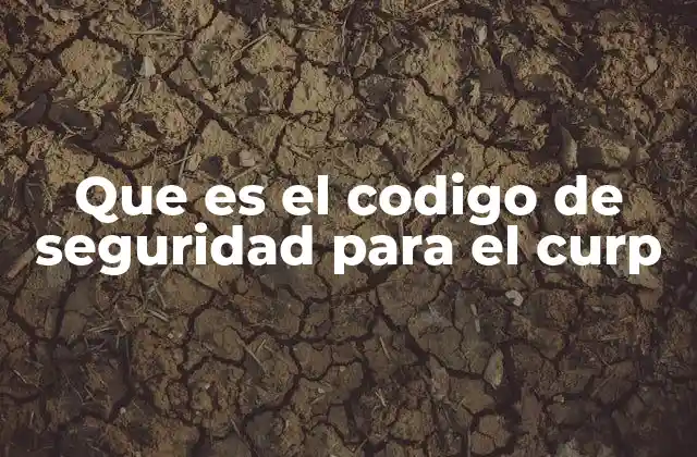 Que es el Codigo de Seguridad para el Curp
