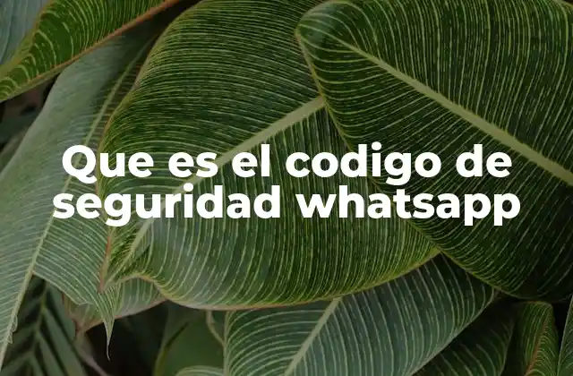 Que es el Codigo de Seguridad Whatsapp