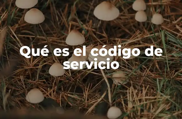 Qué es el Código de Servicio
