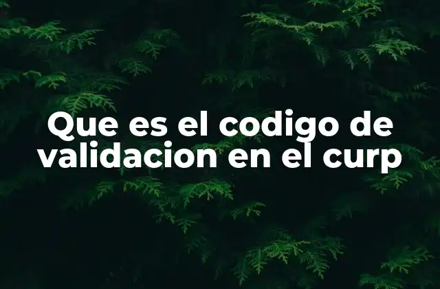 Que es el Codigo de Validacion en el Curp