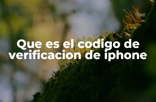 Que es el Codigo de Verificacion de Iphone