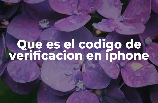 Que es el Codigo de Verificacion en Iphone