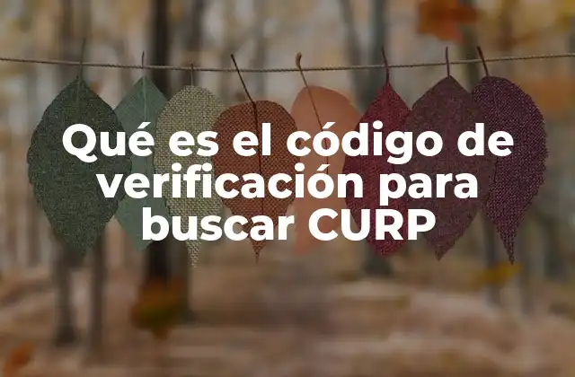Qué es el Código de Verificación para Buscar Curp