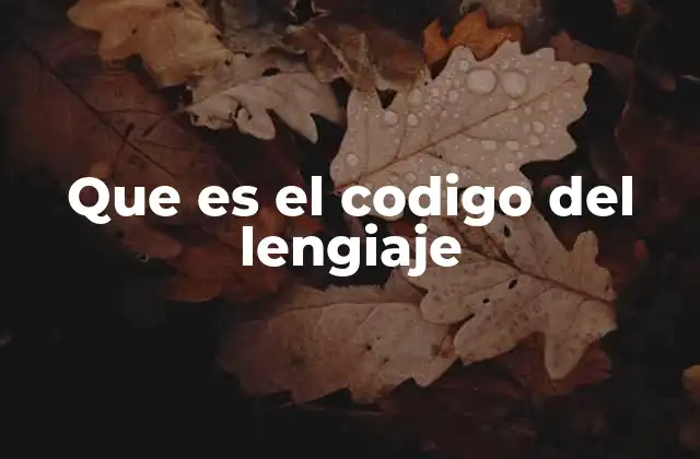 Que es el Codigo Del Lengiaje