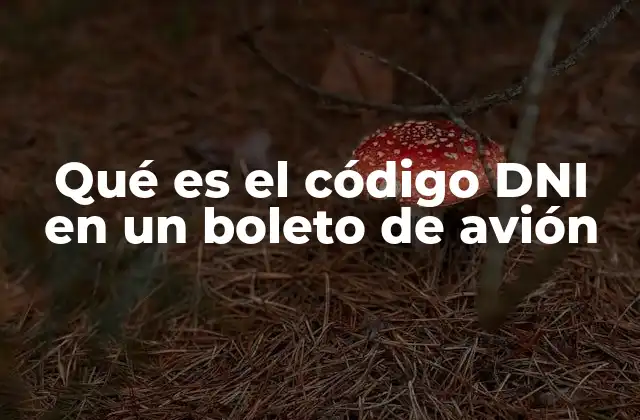 Qué es el Código Dni en un Boleto de Avión