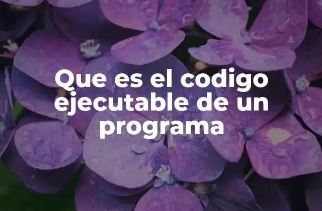Que es el Codigo Ejecutable de un Programa