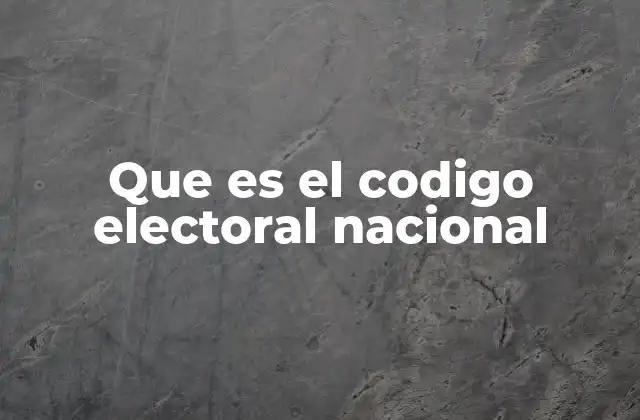 Que es el Codigo Electoral Nacional