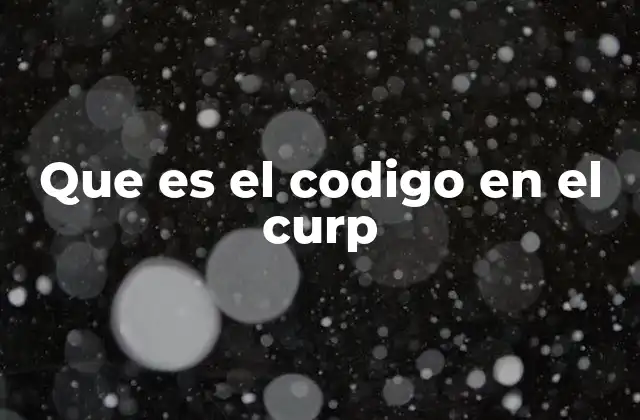 Que es el Codigo en el Curp