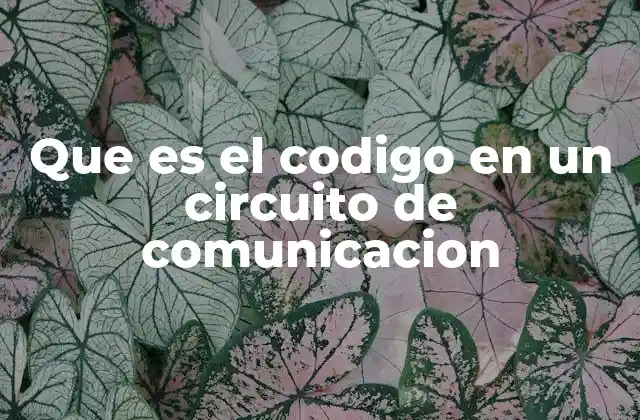 Que es el Codigo en un Circuito de Comunicacion