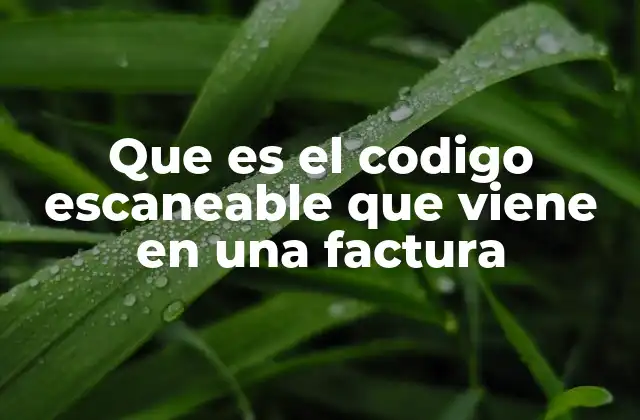 Que es el Codigo Escaneable que Viene en una Factura
