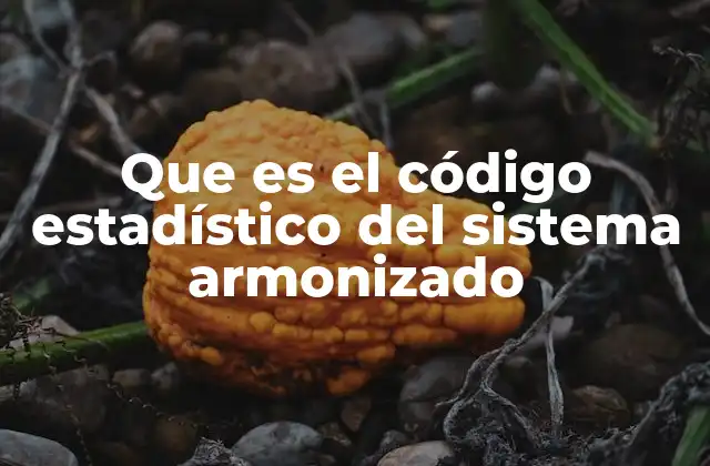 Que es el Código Estadístico Del Sistema Armonizado