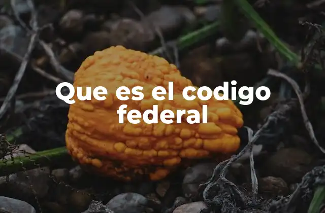 Que es el Codigo Federal