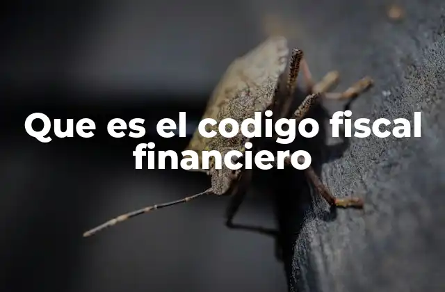 Que es el Codigo Fiscal Financiero