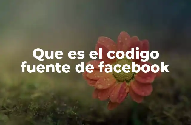 La importancia del código en plataformas digitales