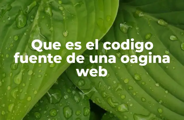 Que es el Codigo Fuente de una Oagina Web 2 La base invisible detrás de cada sitio web