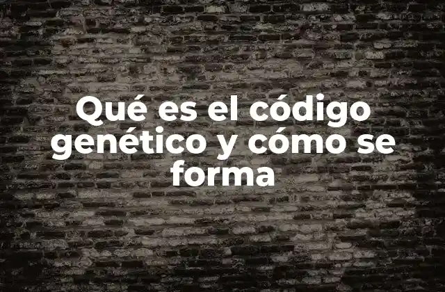 Qué es el Código Genético y Cómo Se Forma