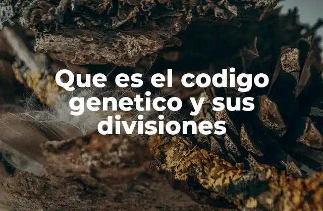 Que es el Codigo Genetico y Sus Divisiones