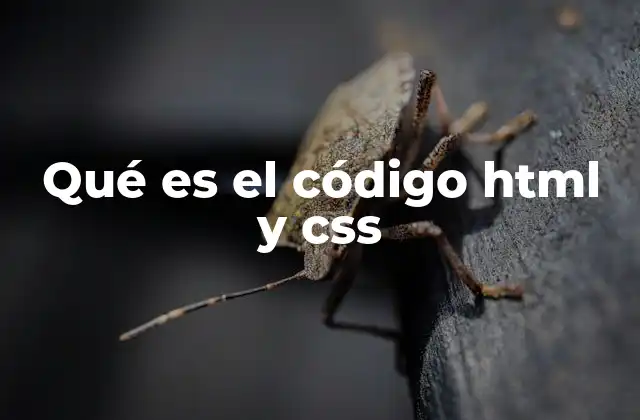 Qué es el Código Html y Css