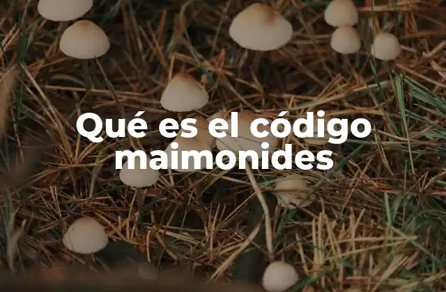 Qué es el Código Maimonides