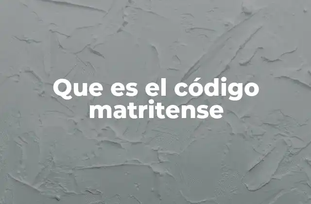Que es el Código Matritense