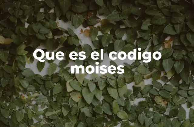 Que es el Codigo Moises