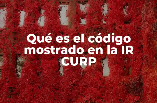 Qué es el Código Mostrado en la Ir Curp