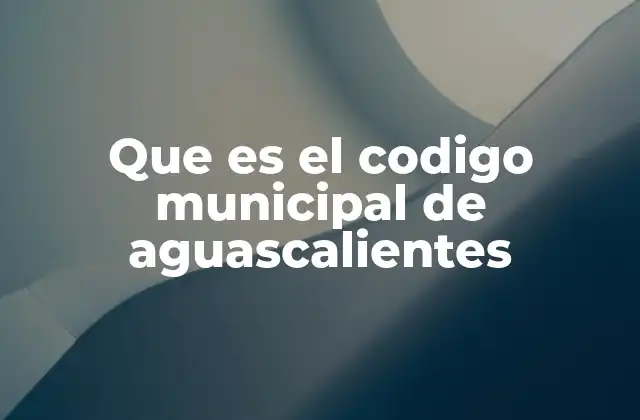 Que es el Codigo Municipal de Aguascalientes