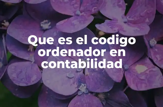 Que es el Codigo Ordenador en Contabilidad