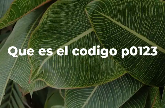 Que es el Codigo P0123