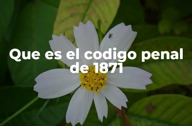 Que es el Codigo Penal de 1871