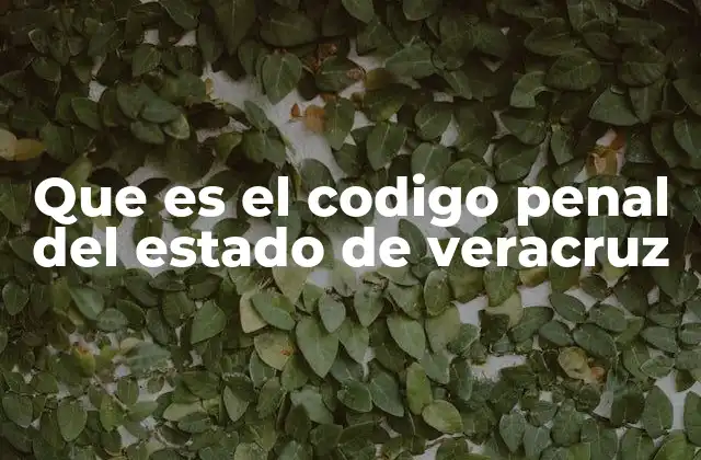 Que es el Codigo Penal Del Estado de Veracruz