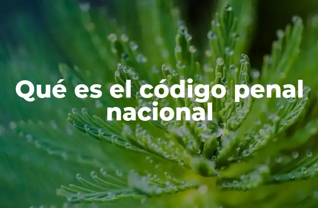 Qué es el Código Penal Nacional 2 El marco legal que protege a la sociedad