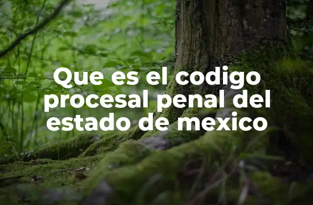 Que es el Codigo Procesal Penal Del Estado de Mexico