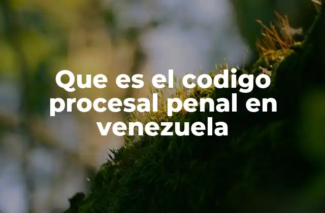 Que es el Codigo Procesal Penal en Venezuela