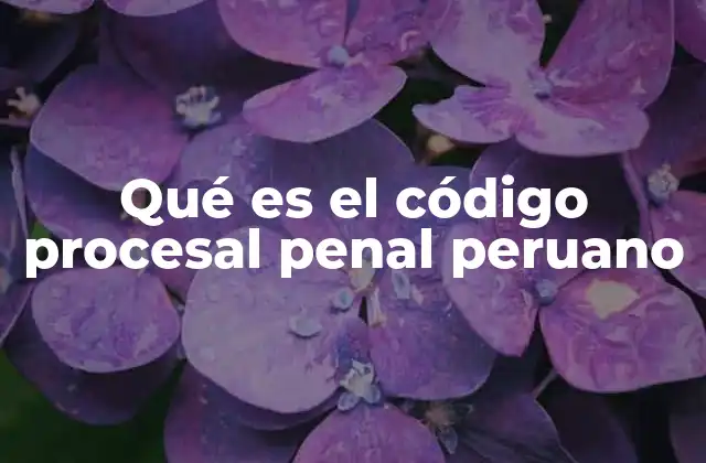 Qué es el Código Procesal Penal Peruano