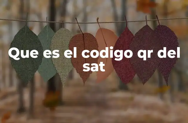 Que es el Codigo Qr Del Sat