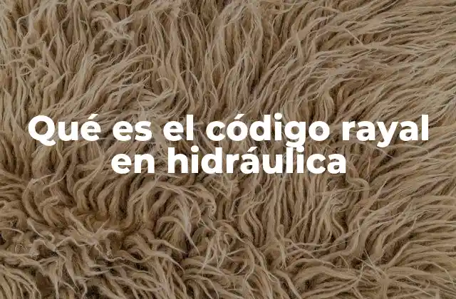 Qué es el Código Rayal en Hidráulica