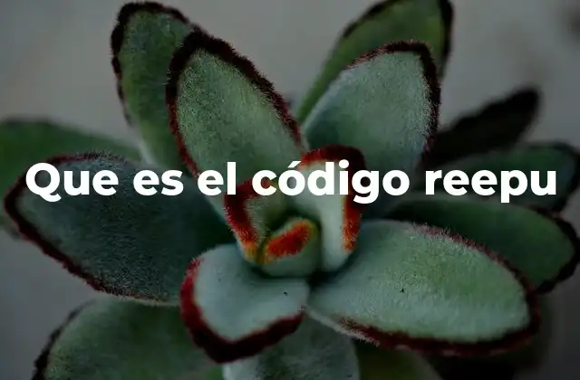 Que es el Código Reepu