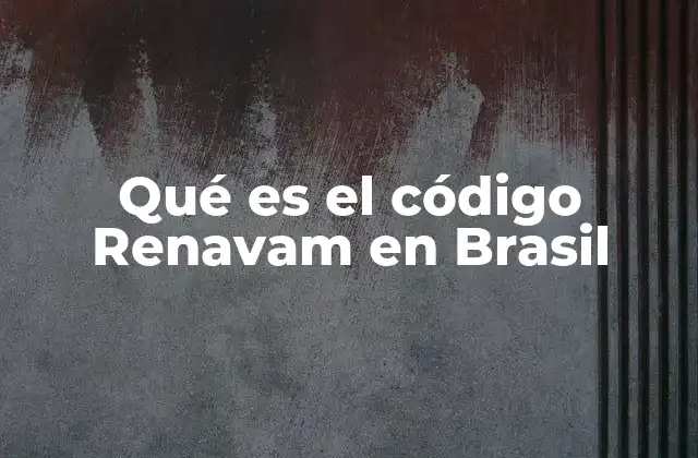 Qué es el Código Renavam en Brasil