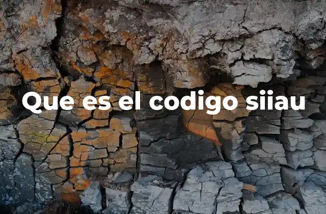 Que es el Codigo Siiau